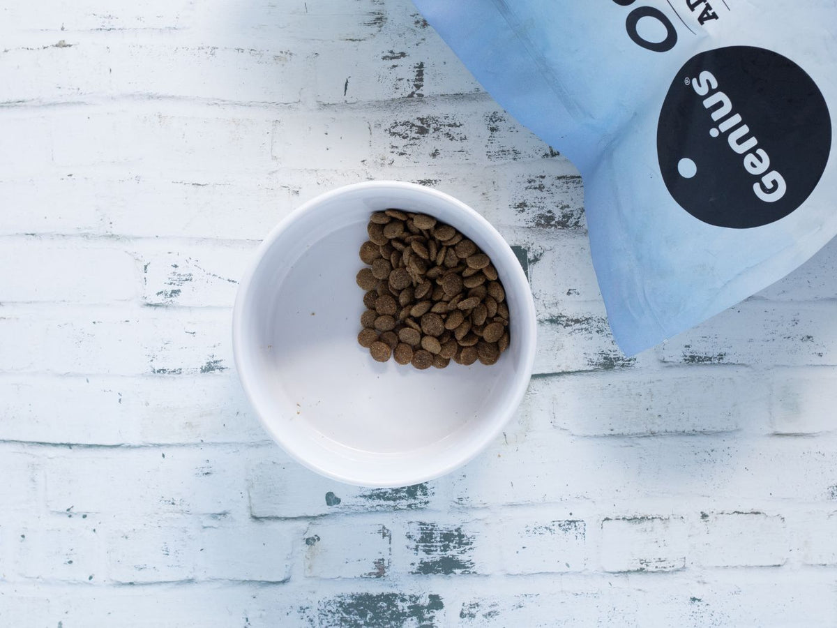 The right way to switch your dog's food