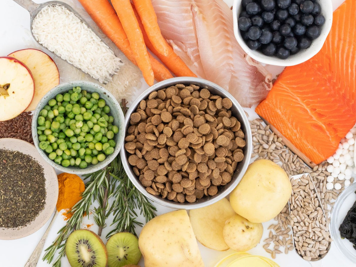 What to feed if you run out of Genius?