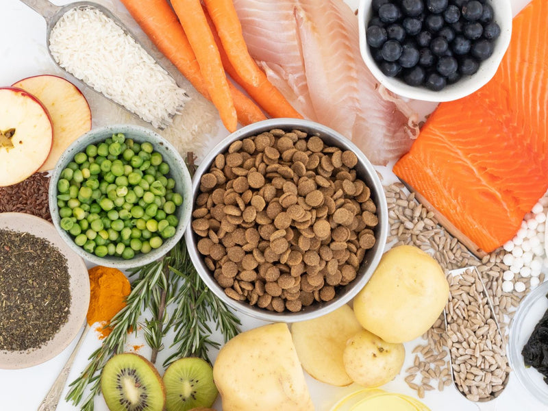 What to feed if you run out of Genius?