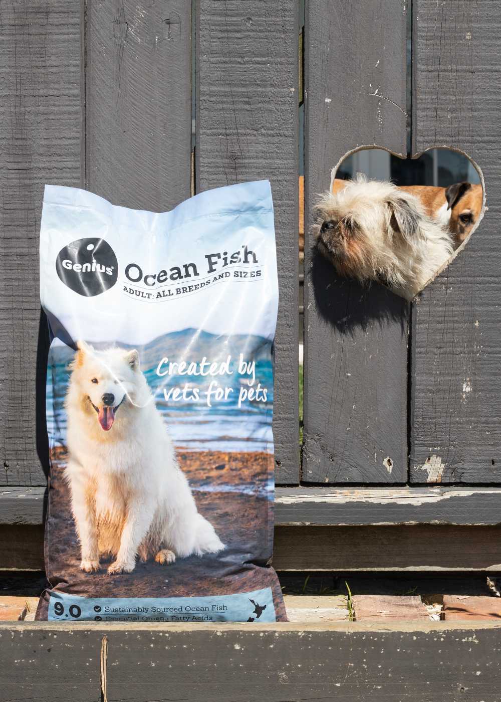 Bag of subscription dog food delivered to gate with a dog poking his head out