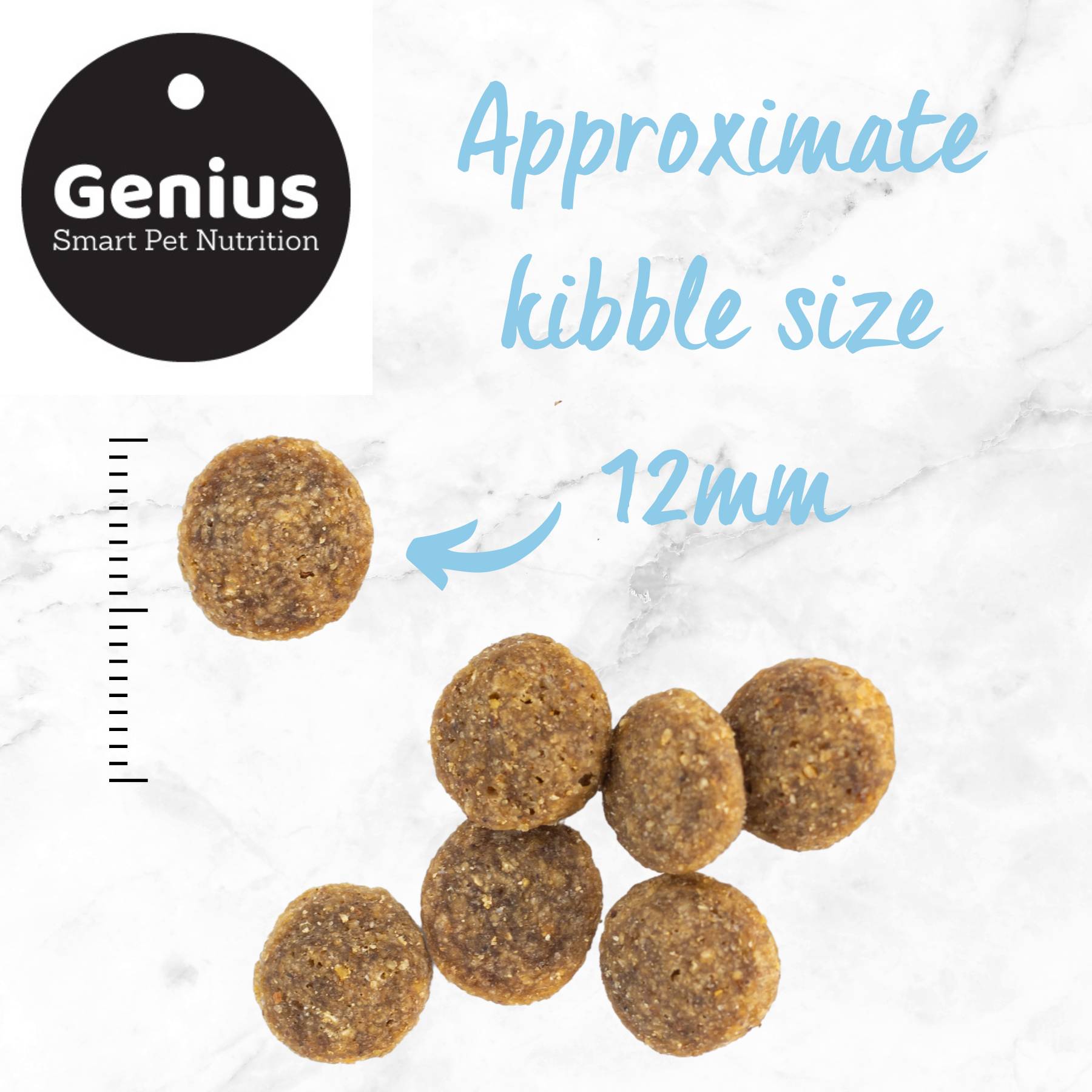 Image showing the approximate size of the kibble in a sample bag of Genius Ocean Fish dog food