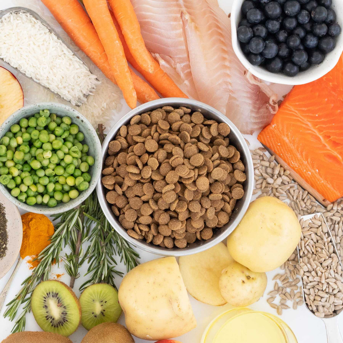 Genius Pet Food I NZ made dog food, delivered to your door