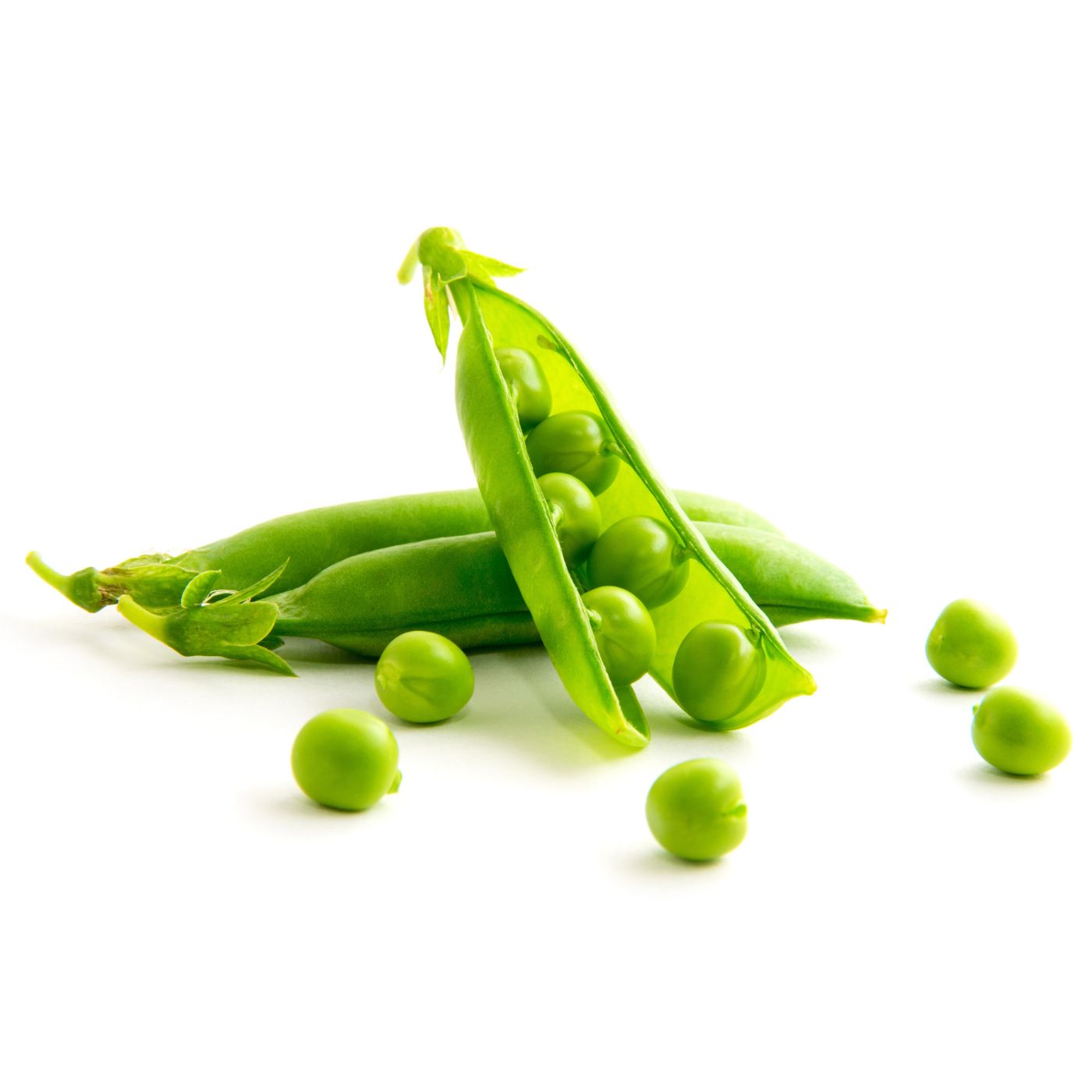 Green peas which are a main ingredient in grain free dog food