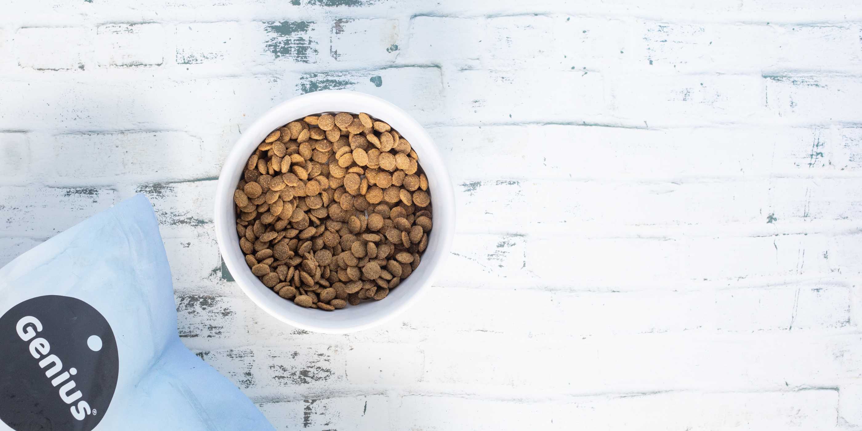Genius Pet Food kibble in a white bowl 