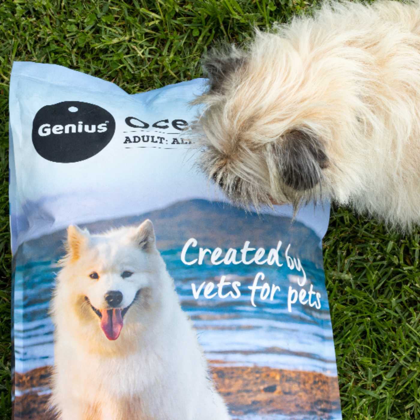 Dog sniffing bag of veterinary developed Genius Pet Food