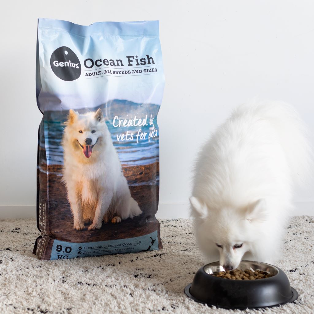 Ocean Fish 9 Kg Dog Food